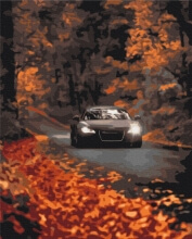 Картины по номерам Осенняя дорога 48x60 Brushme BS53291L