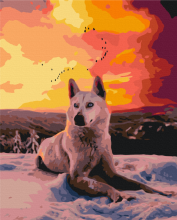 Картины по номерам Арктический волк 48x60 Brushme BS35782L