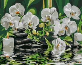 Картины по номерам Спокойствие возле орхидей 40x50 Brushme BS29693