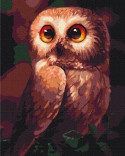 Картины по номерам Допитлива сова 40x50 Brushme BS51861