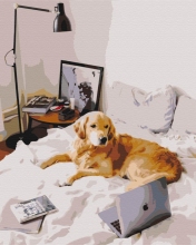 Картины по номерам Домашний офис 48x60 Brushme BS52477L