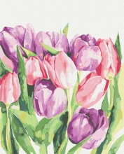 Картини за номерами Ранкові тюльпани © Karolina Bundash 40x50