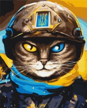 Картины по номерам Котик Защитник ©Марианна Пащук 48x60 Brushme BS53083L