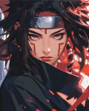 Картини за номерами Ніндзя 40x50 Brushme BS54072