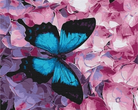 Картины по номерам Бабочка на цветах 48x60 Brushme BS21627L