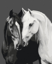 Картини за номерами Чорне та біле серце 40x50 Brushme BS54418