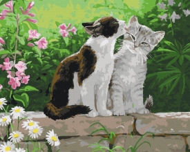 Картины по номерам Пара котят 48x60 Brushme BS3251L
