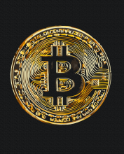 Картини за номерами Біткоїн 40x50 Brushme BS53975