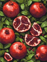Картины по номерам Гранатовый рай 30x40 Brushme RBS1061