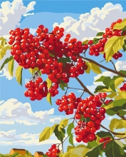 Картины по номерам Калина за окном 40x50 Brushme BS54377