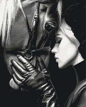 Картини за номерами Гармонія душ 40x50 Brushme BS54426