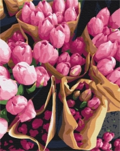 Картины по номерам Голландские тюльпаны 48x60 Brushme BS7520L