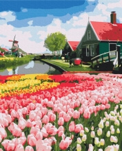 Картины по номерам Голландська провінція 40x50 Brushme BS52716