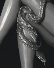 Картини за номерами Природа спокуси 40x50 Brushme BS54354