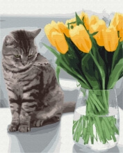 Картины по номерам Котик с тюльпанами 40x50 Brushme BS52638