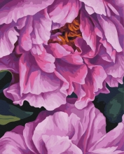 Картини за номерами У глибині пелюсток © Анастасія Альохіна 40x50 Brushme BS54474