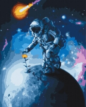 Картины по номерам Цветы Вселенной 48x60 Brushme BS38452L