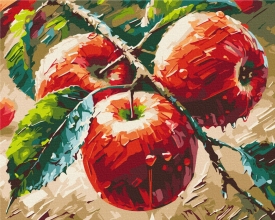 Картины по номерам Свежие яблоки © Олег Лобурак 40x50 Brushme BS54166