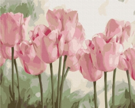 Картины по номерам Ніжні тюльпани 40x50 Brushme BS53322