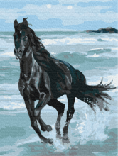 Картины по номерам Чорний кінь 40x50 Brushme BS29330
