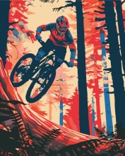 Картины по номерам Адреналин на колесах 40x50 Brushme BS54096