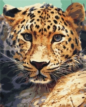 Картины по номерам Портрет леопарда 40x50 Brushme BS51736
