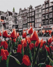 Картины по номерам Тюльпаны Амстердама 48x60 Brushme BS34169L