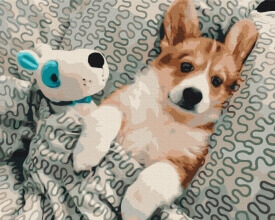 Картины по номерам В сон с любимцем 48x60 Brushme BS51762L