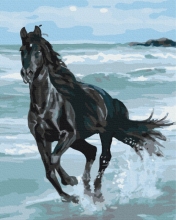 Картины по номерам Чёрная лошадь 48x60 Brushme BS29330L
