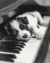 Картины по номерам Мелодия сна 40x50 Brushme BS54066