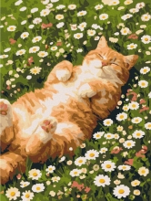 Картины по номерам Кот в ромашках 30x40 Brushme RBS1064