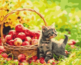 Картины по номерам Яблучний котик 40x50 Brushme BS52657