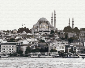 Картины по номерам Восточное путешествие 40x50 Brushme BS52152