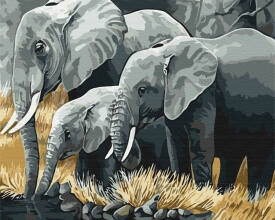 Картины по номерам Семья слонов 40x50 Brushme BS3810
