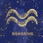 Картина за номерами Знак Зодіаку Водолей з фарбою металік 50 х 50 см Ідейка КН9521